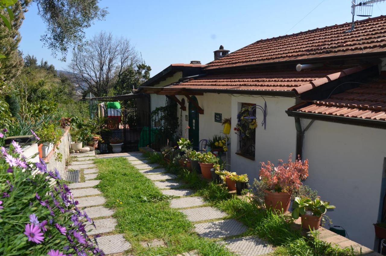 La Pineta Bed & Breakfast Pitelli Екстериор снимка